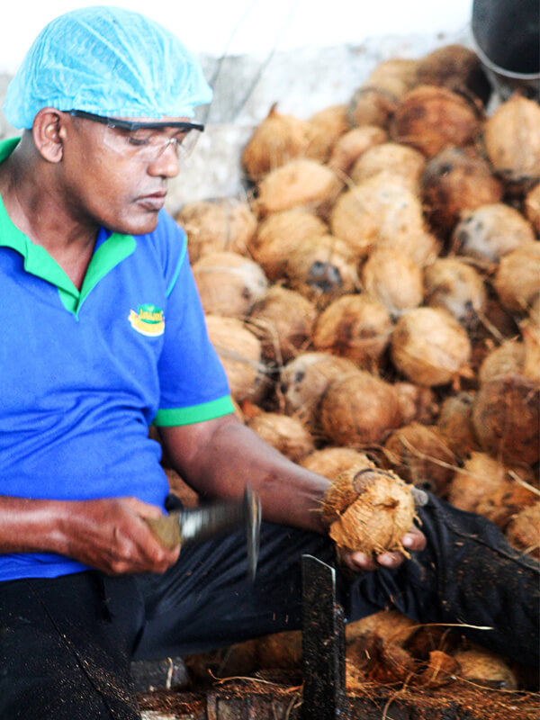 deshelling-coconut-storing-area